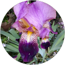 Brigitte Griskewitz Brigitte Griskewitz